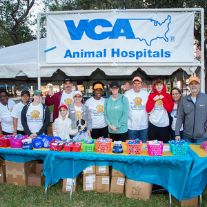 Fundraising Page: VCA Hospital